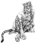  anthro blotch bottomless clothing cute feline hindpaw looking_at_viewer male mammal monochrome open_shirt pawpads paws penis plain_background sheath shirt sitting solo stripes tiger whiskers white_background 