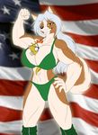  akita america american_flag anthro armadillo big_breasts bikini breasts canine cleavage clothed clothing dog elnora_magner female green_eyes hair huge_breasts long_hair looking_at_viewer mammal midriff muscles muscular_female smile solo standing swimsuit teeth thighs toughset white_hair 
