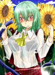  ascot blush bra breasts flower green_hair kazami_yuuka koga_rejini large_breasts lingerie looking_down plaid plaid_vest red_eyes see-through short_hair skirt skirt_set solo sunflower touhou underwear vest water_drop wavy_mouth wet wet_clothes 