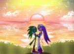  bandanna beak cloud duo eyes_closed eyewear female glasses goggles green_feathers hi_res jet_the_hawk low_res male outside purple_feathers sega selena-the-dragon shadow sky sonic_(series) sonic_riders sun sunglasses sunset wave_the_swallow 