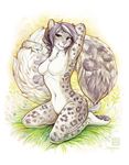  anthro blush claws feline female fluffy grass green_eyes hair kneeling looking_at_viewer mammal navel nude pawpads paws pink_nose pinup pose presenting seylyn short_hair smile solo spots 