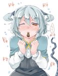  akagashi_hagane animal_ears bad_id bad_pixiv_id blush capelet clenched_hands feeding food grey_hair heartbeat incoming_pocky_kiss looking_at_viewer mouse_ears mouse_tail mouth_hold nazrin one_eye_closed pocky pov_feeding red_eyes sharing_food short_hair simple_background solo tail touhou translation_request upper_body white_background 