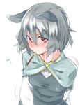  akagashi_hagane animal_ears bad_id bad_pixiv_id blush capelet food grey_hair looking_at_viewer mouse_ears mouth_hold nazrin pocky red_eyes short_hair simple_background solo touhou white_background 