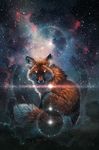  ambiguous_gender balaa canine feral fox mammal solo space stars 