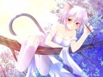  animal_ears blush branch breasts cat_ears cat_tail catgirl cleavage lying purple_hair red_eyes short_hair tail thigh-highs thighhighs 