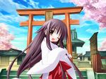  black_hair cherry_blossoms cloud day game_cg japanese_clothes jpeg_artifacts kannagi_rei long_hair miko one_eye_closed princess_witches ribbon sky smile solo suzusumiya_ichigo torii 