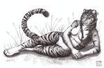  feline female kirsch mammal nude tiger 