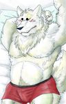  bed blush canine fox fur gingitsune gintaro looking_at_viewer lying male mammal muscles solo topless underwear vodkawolf white_fur 