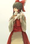  adapted_costume black_hair bow brown_eyes detached_sleeves dress gloves hair_bow hakurei_reimu long_sleeves red_dress scarf solo touhou white_gloves wide_sleeves yoss_3 