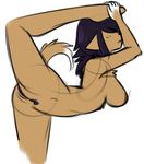  canine female flexible mammal nanodirty nude plain_background pussy shinobu spread_legs spreading yoga 