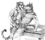  canine clothing duo feline gay greyscale grope hand_on_head jeans kissing leaning male mammal monochrome open_mouth open_shirt paper plain_background shirt standing stripes table tiger tongue tongue_out topless whiskers white_background wolf 