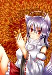  :3 absurdres ahoge animal_ears autumn_leaves bad_id bad_pixiv_id banned_artist bare_shoulders blush breasts detached_sleeves highres holding inubashiri_momiji large_breasts leaf looking_at_viewer oohirakeisuke pom_pom_(clothes) red_eyes shirt short_hair silver_hair skirt smile solo tail touhou wolf_ears wolf_tail 