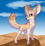  ambiguous_gender canine desert fennec feral fox mammal outside rukifox solo tongue tongue_out 