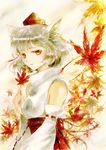  animal_ears autumn_leaves bad_id bad_pixiv_id breasts detached_sleeves hat holding holding_leaf inubashiri_momiji keiko_(mitakarawa) leaf looking_at_viewer maple_leaf medium_breasts pom_pom_(clothes) red_eyes short_hair silver_hair skirt smile solo tokin_hat touhou wolf_ears 
