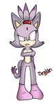  blaze_the_cat breasts cat feline female fur mammal nude purple_fur pussy sega senshion socks solo sonic_(series) standing yellow_eyes 