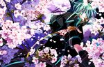  asrhion cherry_blossoms flower gloves green_eyes green_hair in_tree jacket male_focus petals solo sync tales_of_(series) tales_of_the_abyss tree 