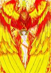  fenix phoenix tagme the-dark-mangaka 