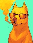  ambiguous_gender canine cigarette dog dogo_argentino eyewear falvie mammal smoke smoking solo sunglasses 