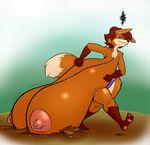  anthro areola big_breasts breasts canine chubby dawmino dirt female fox fur hair huge_breasts hyper hyper_breasts mammal nipples outside panties solo thick_thighs topless underwear wide_hips 