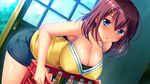  blue_eyes blue_gale breasts brown_hair cleavage game_cg natsu_doki! nemitarou shorts takanaka_mari 