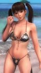  1girl 3d beach breasts dead_or_alive dead_or_alive_5 large_breasts lei_fang ocean smile solo tecmo 