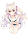 :o animal_ears barefoot bikini black_bikini blush breasts cat_ears claw_pose cleavage full_body hair_ornament hands_up kneeling kou_mashiro large_breasts long_hair looking_at_viewer navel one_side_up open_mouth original shiny shiny_skin side-tie_bikini simple_background solo swimsuit thigh_gap v-shaped_eyebrows white_background white_hair yellow_eyes 