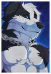 aluminemsiren anthro biceps black_fur black_nose blake_tucano blue_eyes border_collie canine chain chest_tuft close-up dog fur grin looking_at_viewer male mammal muscles necklace one_eye_closed pecs plain_background pose smile solo toned topless tucpile tuft white_fur 