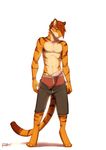  anthro clothed clothing erection feline hair lost-paw male mammal penis plain_background shadow solo standing tiger underwear white_background 