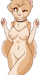  brown_fur canine collar dog female fur green_eyes looking_at_viewer mammal nipples nude one_eye_closed pink_nose pussy rika_(character) smile solo standing zyira 