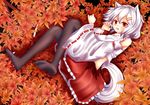  animal_ears autumn inubashiri_momiji leaves oohirakeisuke pantyhose red_eyes touhou white_hair wolfgirl 