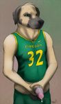  animal_genitalia anthro balls basketball black_nose canine canine_penis clothed clothing college dog english_text erection fur great_dane green_eyes half-dressed holding_penis jersey knot knot_in_sheath looking_at_viewer male mammal masturbation nike number paper-wings paper_wings penis precum sheath shirt shorts solo sports standing tank_top text 