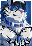  abs aluminemsiren anthro biceps black_hair blue_eyes blue_hair collar fangs feline flexing fur grin hair looking_at_viewer male mammal muscles necklace nipples pecs pink_nose plain_background pose smile solo tattoo teeth tiger toned topless white_fur white_tiger 