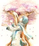 blue_hair cherry_blossoms kaito male_focus miyuki_(aoisan) scarf solo traditional_media tree vocaloid watercolor_(medium) 