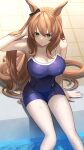  1girl animal_ears bare_shoulders blue_eyes blue_one-piece_swimsuit blush bow breasts brown_hair commentary_request competition_school_swimsuit ear_bow green_eyes hair_between_eyes highres horse_ears horse_girl horse_tail iwashi_111 large_breasts long_hair maruzensky_(umamusume) one-piece_swimsuit parted_lips pool poolside school_swimsuit single_vertical_stripe sitting solo swimsuit tail tracen_swimsuit umamusume water wet wet_clothes wet_swimsuit 