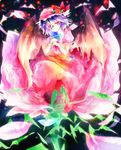  bad_id bad_pixiv_id colorful flower kazu_(muchuukai) pink_flower pink_rose red_flower red_rose remilia_scarlet rose solo touhou 