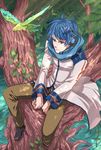  bad_id bad_pixiv_id bird blue_eyes blue_hair blue_scarf daizu headphones headset in_tree kaito male_focus nature outdoors scarf sitting sitting_in_tree solo tree vocaloid water 