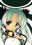  animal_ears blade_(galaxist) cat collar copyright_request glasses green_eyes green_hair long_hair solo 