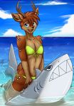  beach bikini cervine deer jayce mammal okamiterasu seaside swimsuit water 