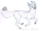  canine feral fox idess male mammal sketch solo 