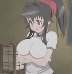  animated animated_gif black_hair blue_eyes blush bounce bouncing_breasts breast_press breasts erect_nipples gym_uniform kanokon lantern large_breasts minamoto_chizuru ponytail smile talking 