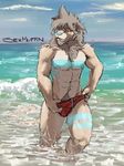  anthro biceps bulge cyan_nose day feline front lion male mammal muscles navel nipples outside panty_pull pecs pinup pose pubes sea sexmuffin sky solo speedo standing summer swimsuit topless walking water wet white_lion 