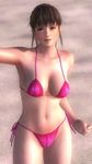  1girl 3d beach bikini breasts dead\or_alive dead_or_alive_5 hitomi_(doa) large_breasts ponytail solo swimsuit tecmo 