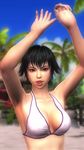  1girl 3d bikini black_hair breasts dead_or_alive dead_or_alive_5 large_breasts pai_chan swimsuit tecmo virtua_fighter 