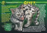  english_text feral fur genet mammal open_mouth sharp_teeth solo spots standing teeth text tongue 