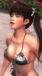  1girl 3d beach breasts dead_or_alive dead_or_alive_5 large_breasts lei_fang solo tecmo twintails 