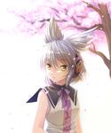  brown_eyes brown_hair capelet cherry_blossoms earmuffs looking_away open_mouth petals pointy_hair purple_ribbon ribbon short_hair sleeveless smile solo sunlight takatsukasa_yue touhou toyosatomimi_no_miko tree white_background 