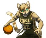  anthro basketball clothing college fba female male mammal muscles pac plain_background pose sand_cat sofia_kikian solo sport uniform ursa_(team) 