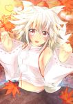  acoco animal_ears autumn_leaves bare_shoulders blush detached_sleeves hat highres inubashiri_momiji leaf looking_at_viewer midriff navel no_bra open_mouth panties pink_panties pom_pom_(clothes) red_eyes short_hair silver_hair skirt solo striped striped_panties tail tokin_hat touhou underwear wolf_ears wolf_tail 