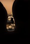  balls big_balls big_penis erection first_person_view fur humanoid_penis male mammal masturbation mustelid nude overweight penis pig_(artist) precum solo voyeur 