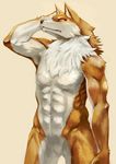  abs anthro black_nose canine chest_tuft featureless_crotch fur hi_res kemoisumi looking_at_viewer male mammal muscles navel plain_background solo tuft 